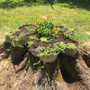 Meet your Posher, Rusty